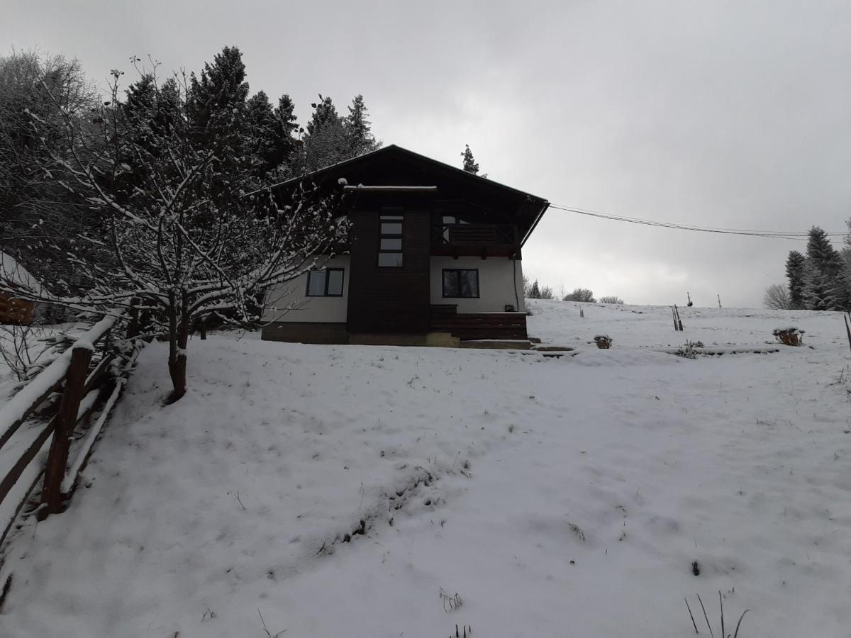 Під Боржавою Pilipets Exteriör bild