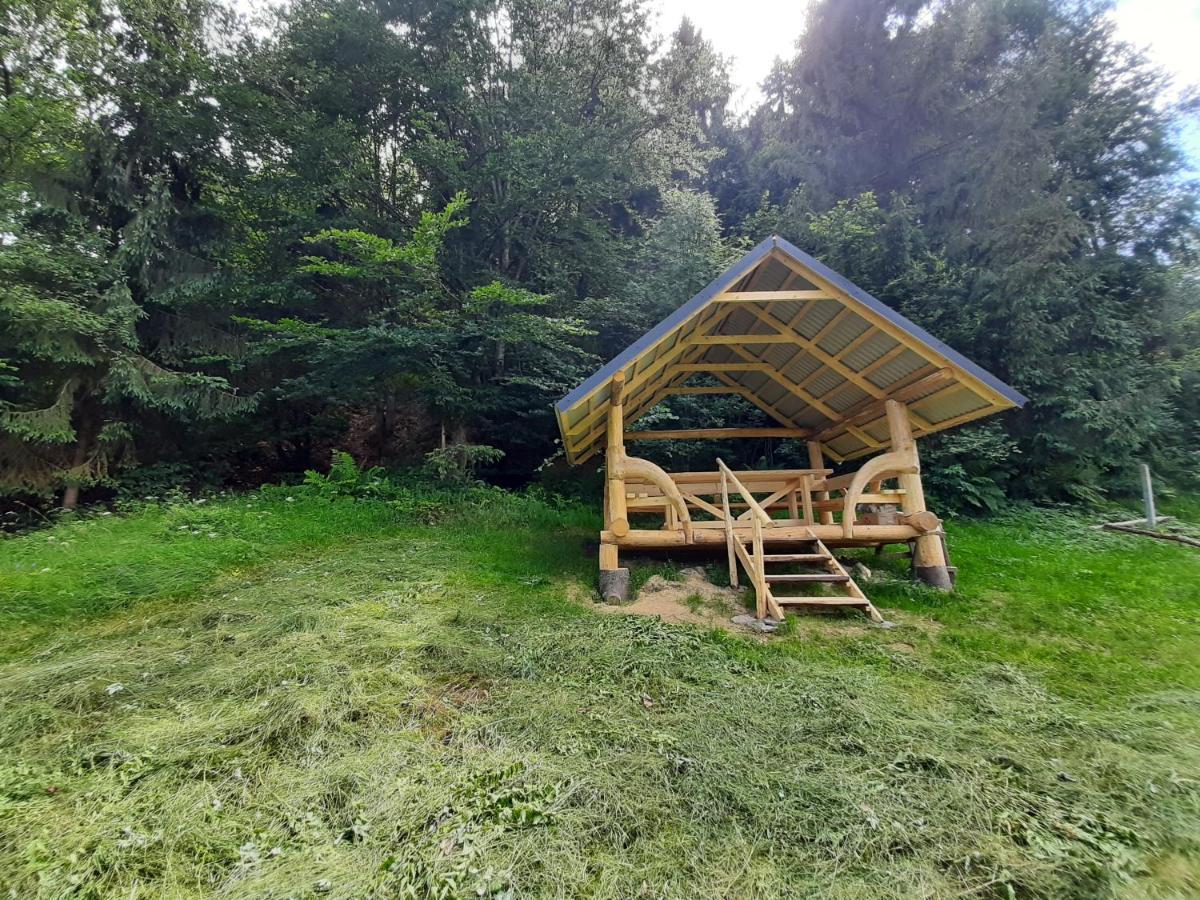 Під Боржавою Pilipets Exteriör bild